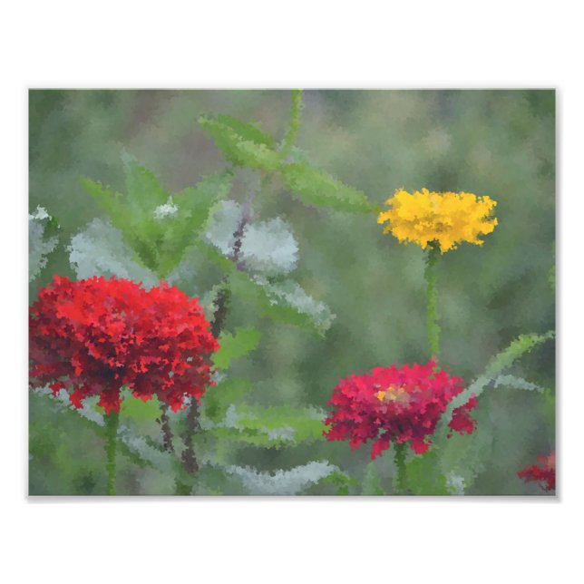 Foto Zinnias impressionista (Frente)