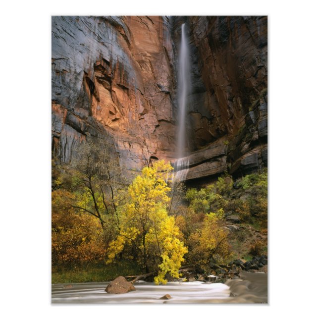 Foto Zion National Park, Utah. EUA. Ephemeral (Frente)