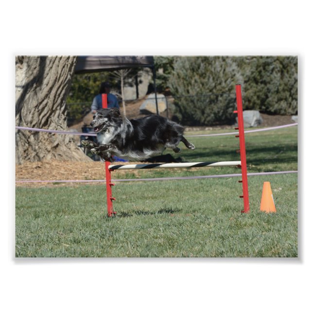 Foto Zoey 1 (Frente)