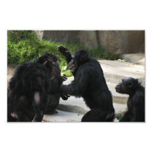 Foto Zoo de Los Angeles
