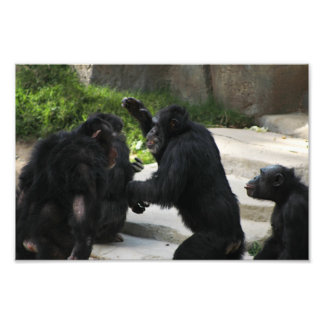 Foto Zoo de Los Angeles