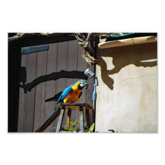 Foto Zoo de Los Angeles