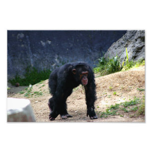 Foto Zoo de Los Angeles