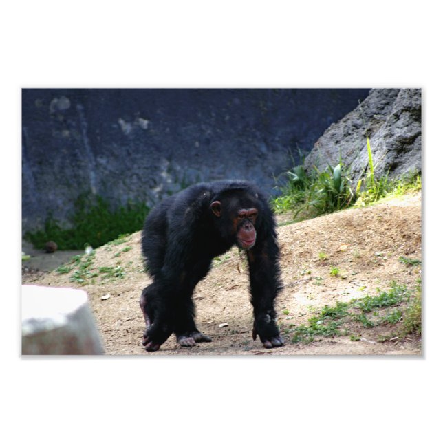 Foto Zoo de Los Angeles (Frente)