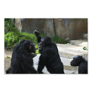 Foto Zoo de Los Angeles