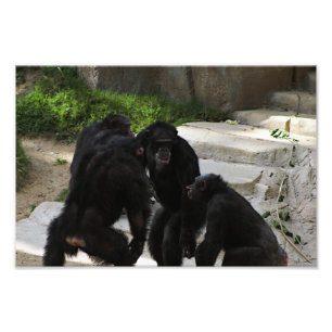 Foto Zoo de Los Angeles
