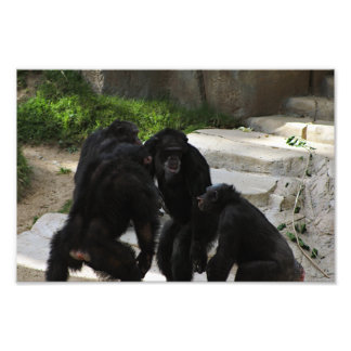 Foto Zoo de Los Angeles