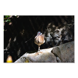 Foto Zoo de Los Angeles