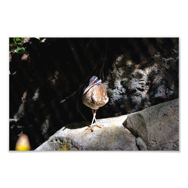 Foto Zoo de Los Angeles (Frente)