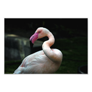 Foto Zoo de Los Angeles