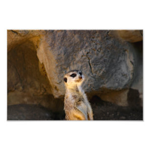 Foto Zoológico de Los Angeles