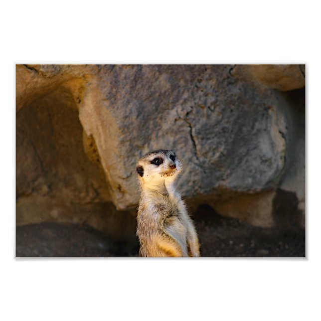 Foto Zoológico de Los Angeles (Frente)
