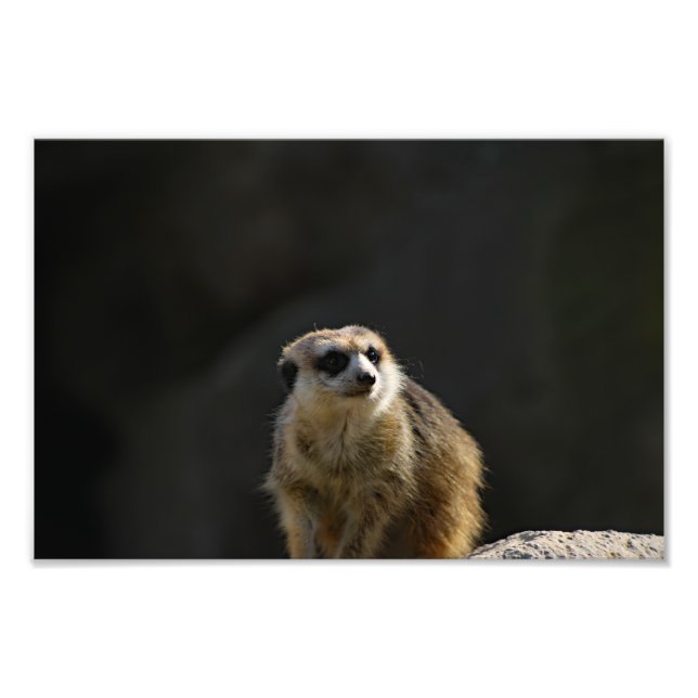 Foto Zoológico de Los Angeles (Frente)