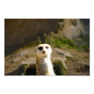 Foto Zoológico de Los Angeles