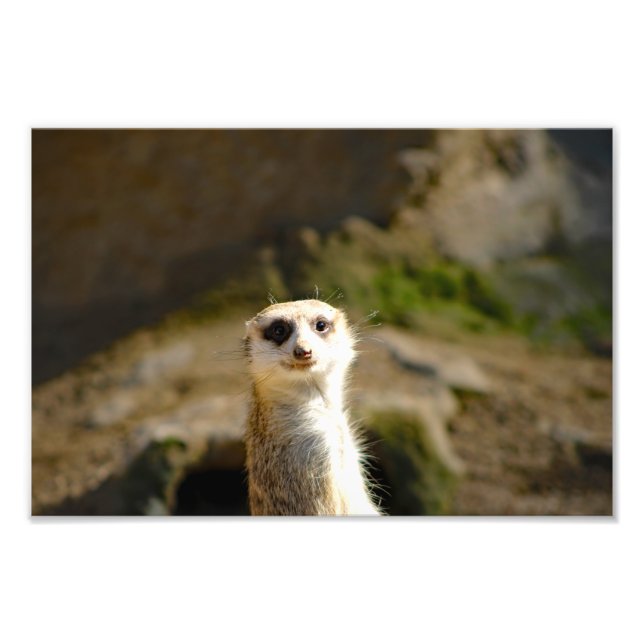 Foto Zoológico de Los Angeles (Frente)
