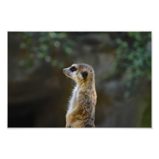 Foto Zoológico de Los Angeles