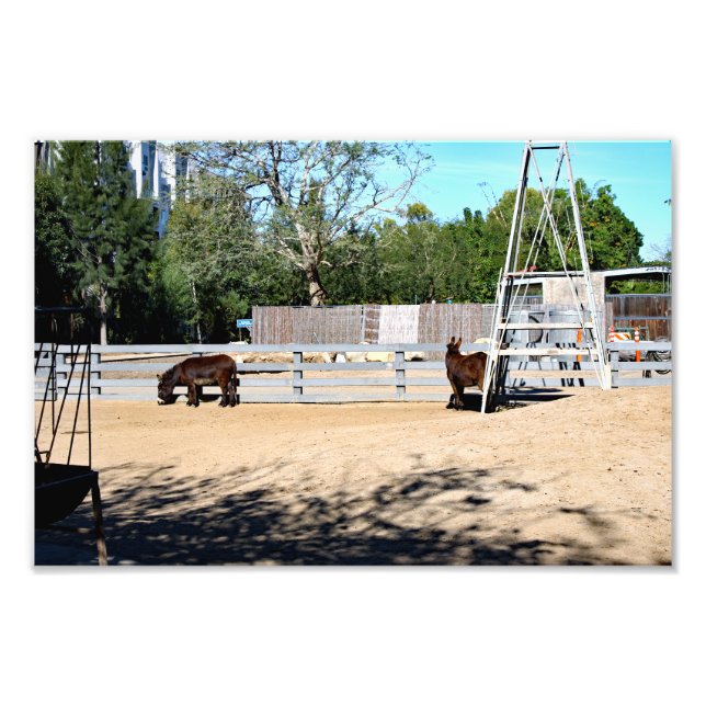 Foto Zoológico de Santa Ana (Frente)