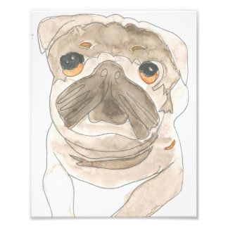 Foto Zues Pup Impressão