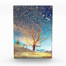 Fotobloqueio de 5"x7" em acrílico | Cherry Tree Pu