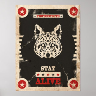 Fotocoyote poster 2014 3