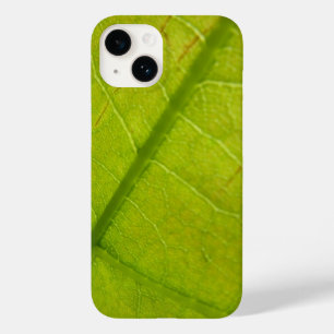 Fotografia Botânica de Folhas Verdes da Natureza
