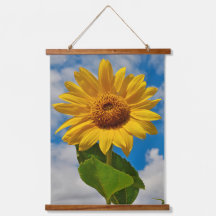 Fotografia Botânica Simples Floral de Girassol