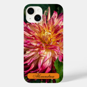 Fotografia da Flor, Chrysanthemum Laranja