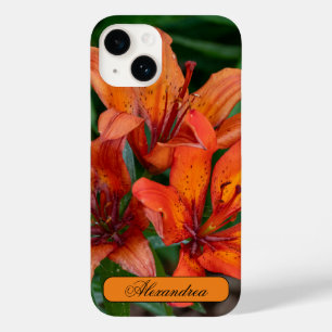 Fotografia da Flor, Diário Canadiano