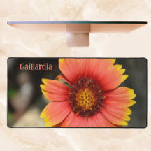 Fotografia da Flor Gaillardia Colorida Brilhante