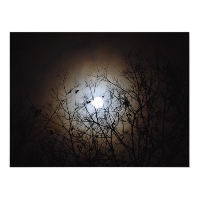 Fotografia da lua cheia (Frente)