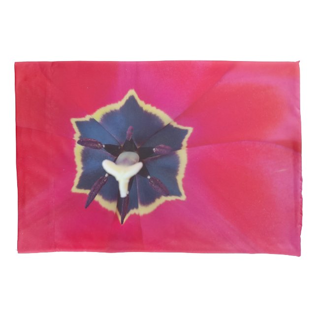 Fotografia da Macro Natureza da Pasta Vermelha Neg (Frente)