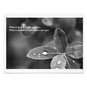 Fotografia da meditação do Mindfulness do zen e 