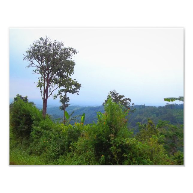 Fotografia da Natureza (Frente)