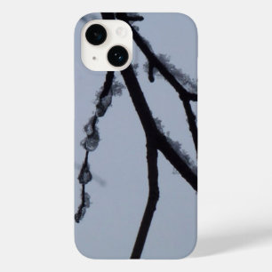 Fotografia da natureza do inverno em Icy Branches