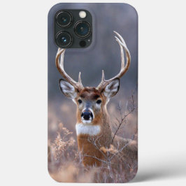 Fotografia da temporada Elegant Whitetail Deer Win