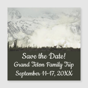 Fotografia de alces no Parque Nacional Grand Teton