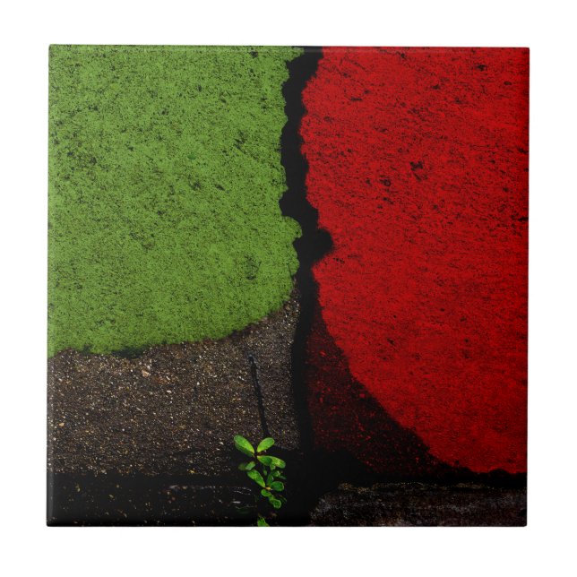 Fotografia de arte vermelha e verde (Frente)