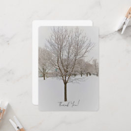 Fotografia de Árvore de Inverno