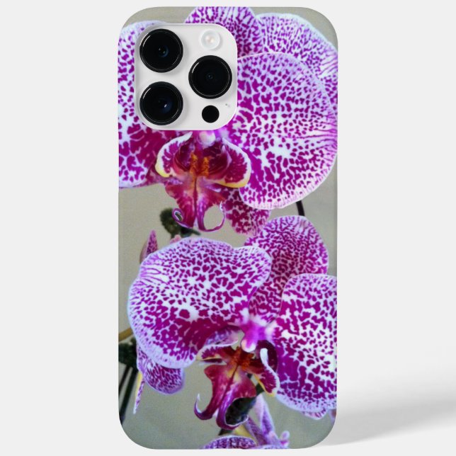 Fotografia de Fechamento da Orquídea Púrpura e Bra (Verso)