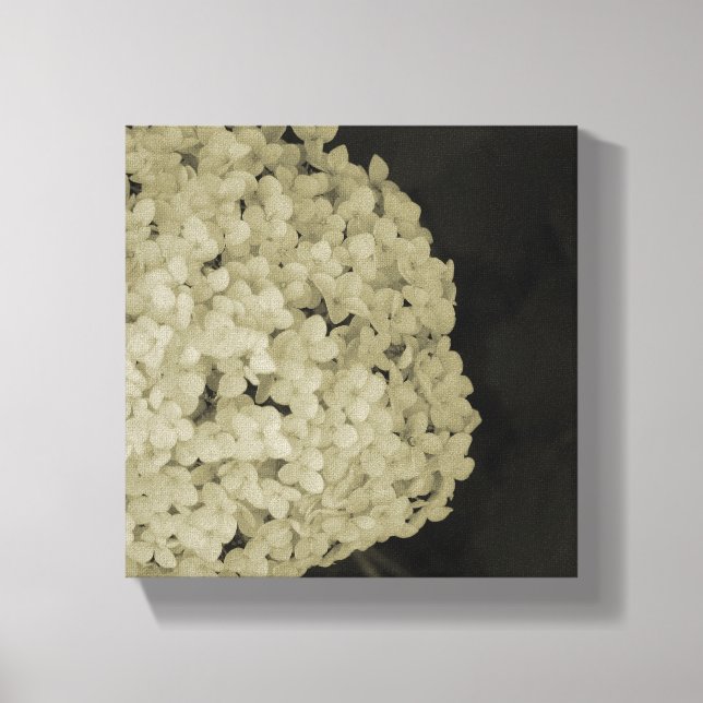 Fotografia de flor canvas (Frente)