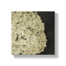 Fotografia de flor canvas