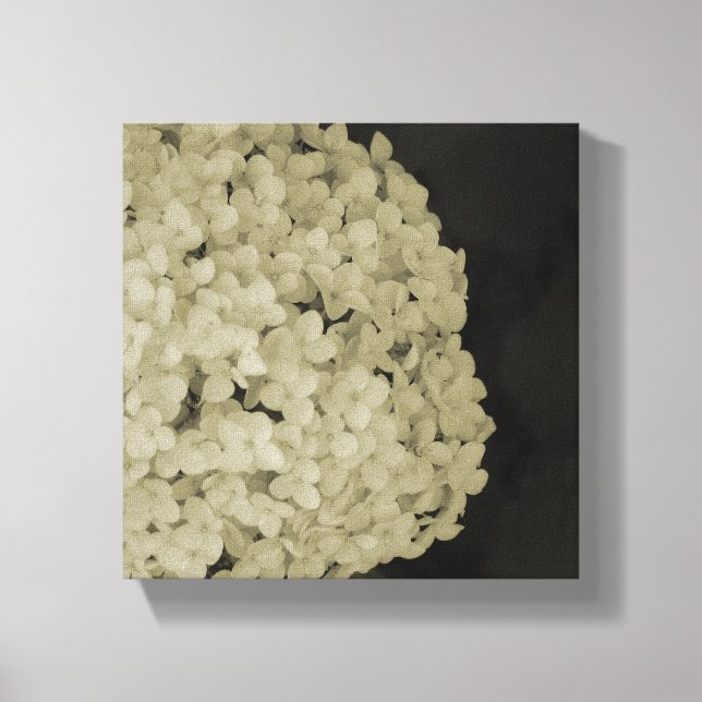 Fotografia de flor canvas (Frente)