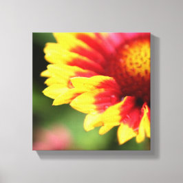 Fotografia de flor de canvas botânica embebida imp