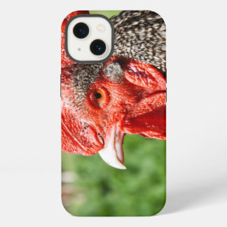 Fotografia de galeria de Cinzas escoceses