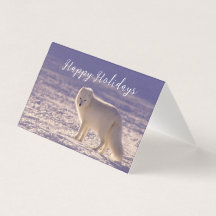 Fotografia de inverno com Raposa Árctica Branca Cu