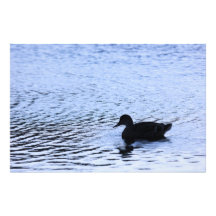 Fotografia de Ondulações na Água do Lago de Vida S