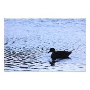 Fotografia de Ondulações na Água do Lago de Vida S