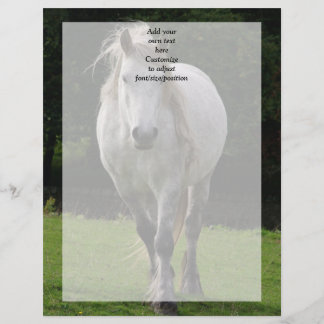 Fotografia de pônei fofo