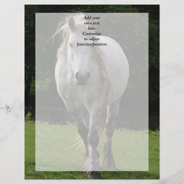 Fotografia de pônei fofo (Frente)