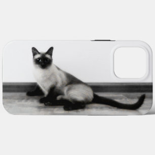 Fotografia de Retrato de Gato Símio CUTE